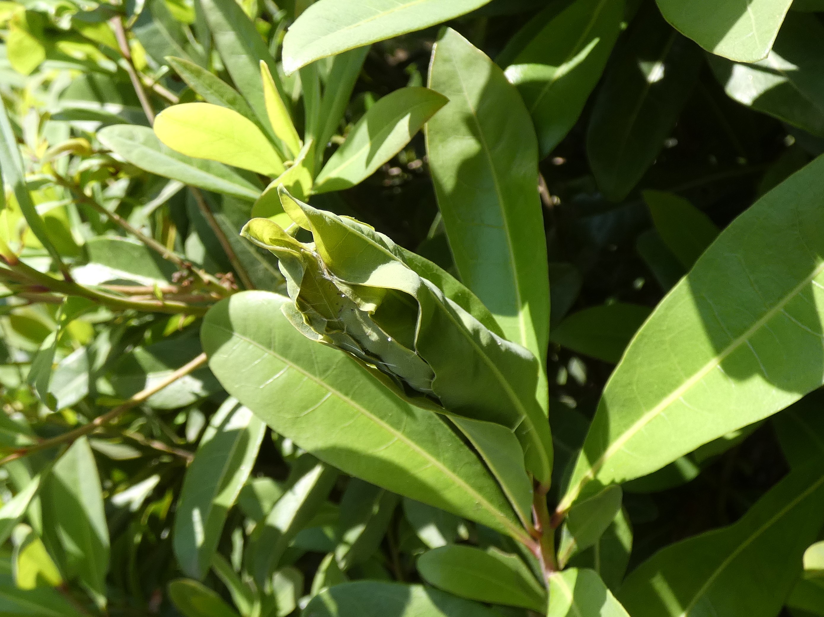 photo_1